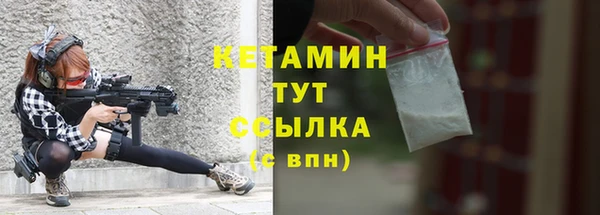 СК Алексин
