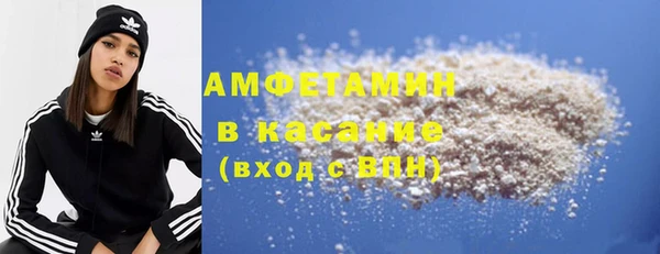 СК Алексин