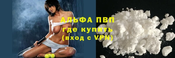 СК Алексин