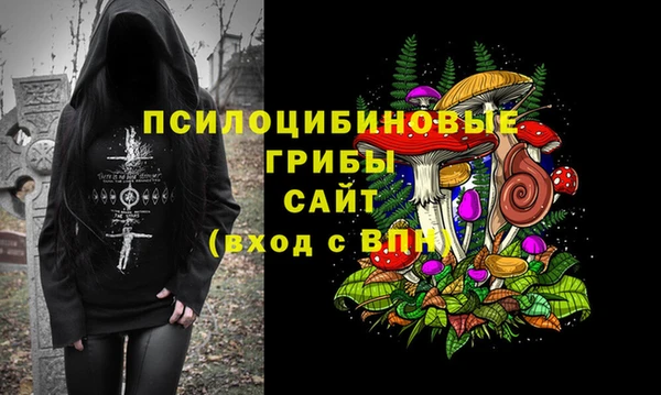 каннабис Алзамай