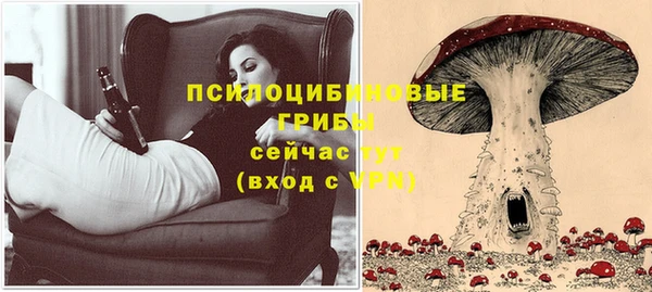 СК Алексин