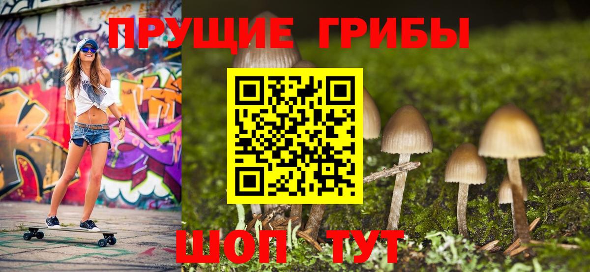 Псилоцибиновые грибы Cubensis Балашов