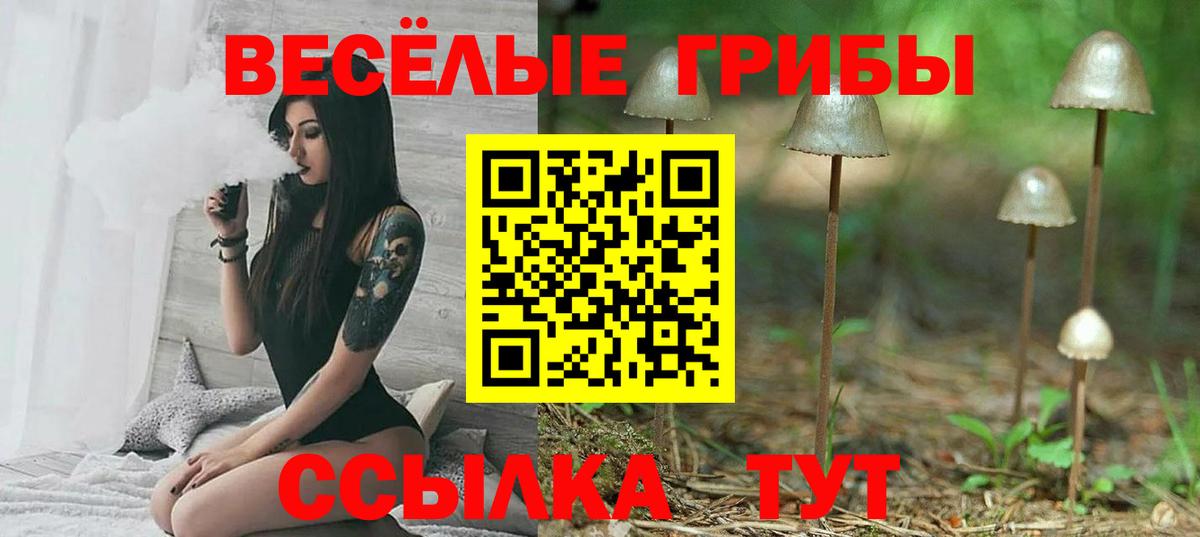 Балашов  Псилоцибиновые грибы мухоморы  Вход с VPN 